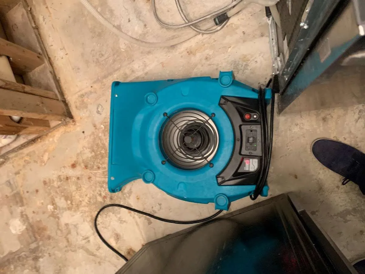 Air mover drying equipment for Mold Remediation & Removal in Cedar Park